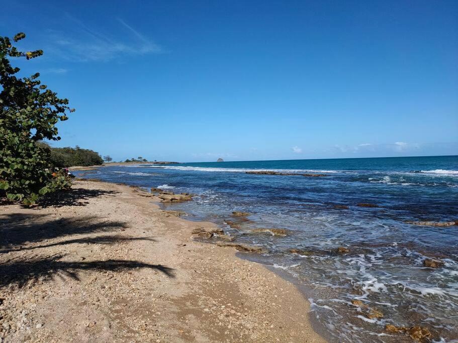 Haut De Villa Avec Vue Sur La Mer Sainte-Rose Bagian luar foto