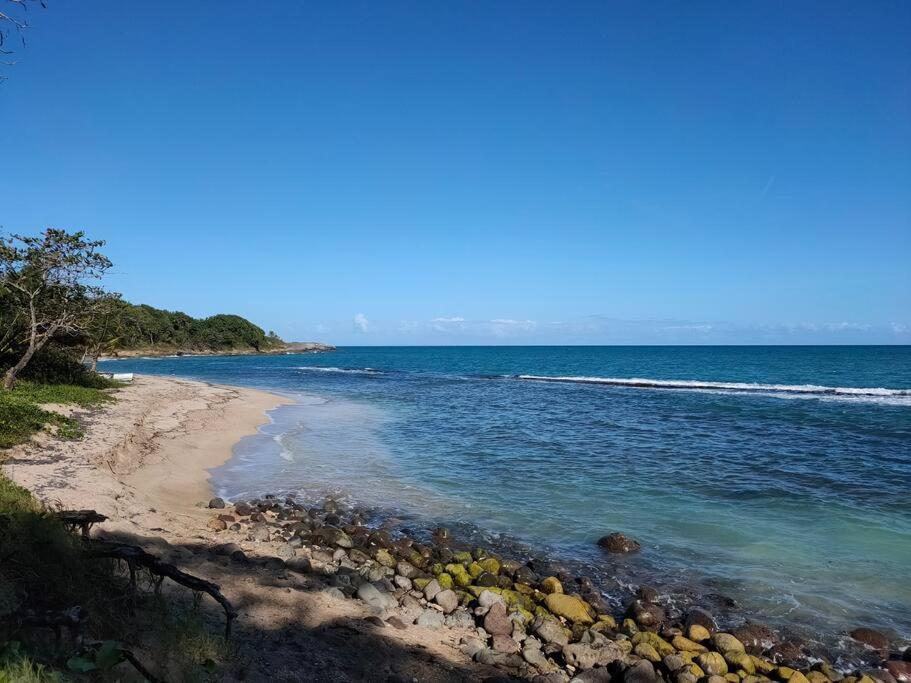 Haut De Villa Avec Vue Sur La Mer Sainte-Rose Bagian luar foto
