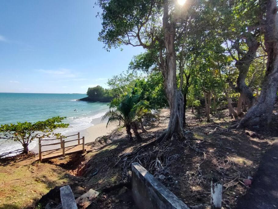 Haut De Villa Avec Vue Sur La Mer Sainte-Rose Bagian luar foto