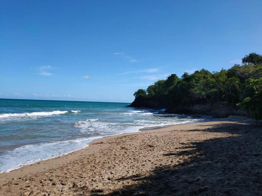 Haut De Villa Avec Vue Sur La Mer Sainte-Rose Bagian luar foto